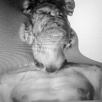 Interrupted 3D scan by artist Paul Coombs